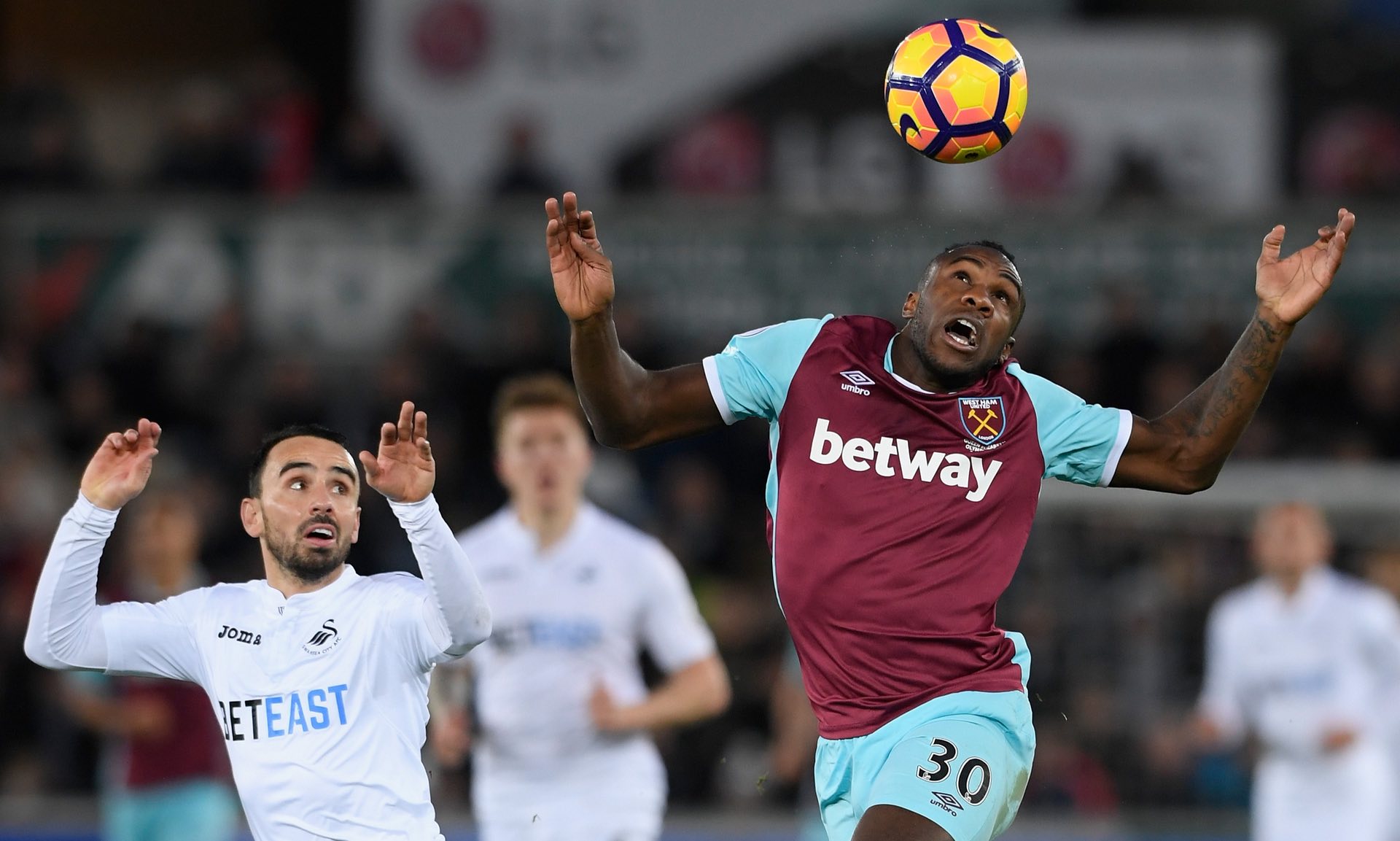 已经开始慌 已经开始慌